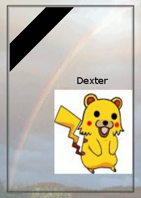 Benutzerbild von Dexter